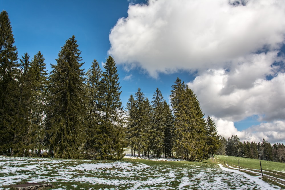 a snow covered field with trees in the background