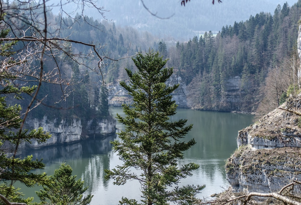 un grand plan d’eau entouré d’arbres