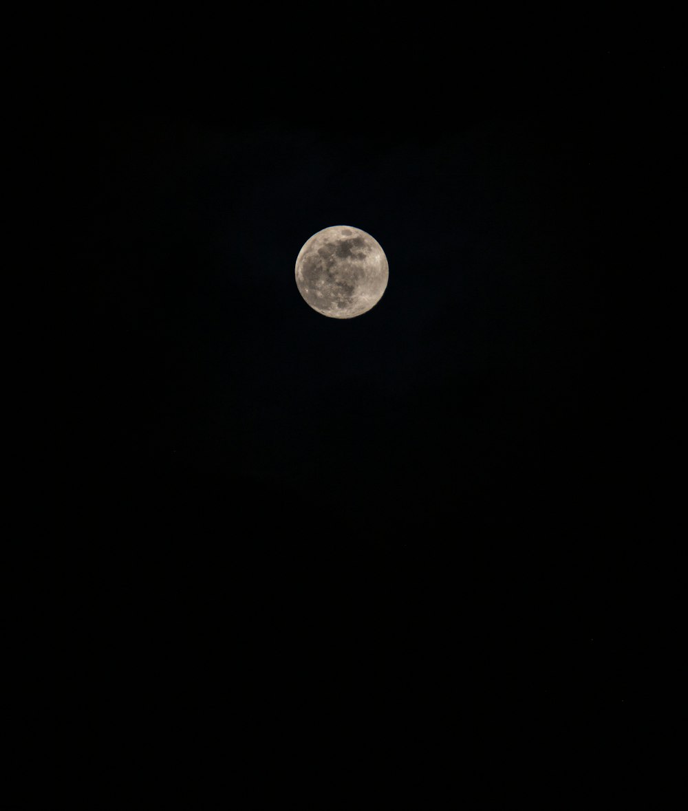 a full moon is seen in the dark sky