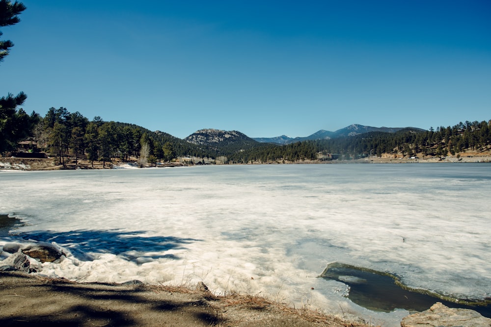 a large body of water surrounded by trees