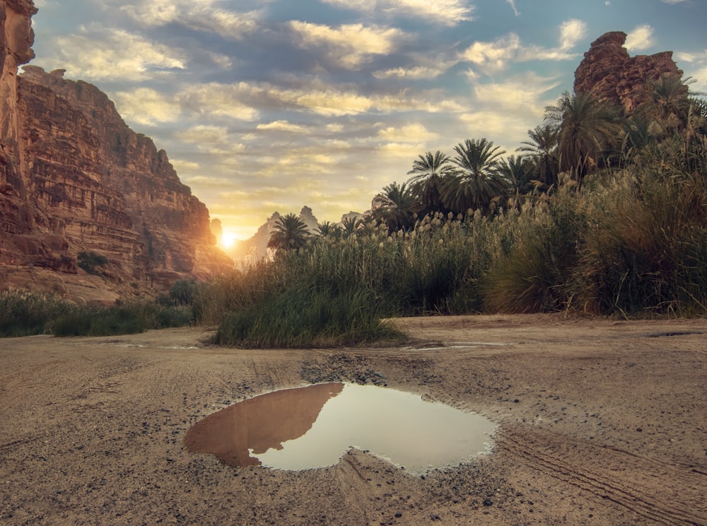 a puddle of water in the middle of a dirt road