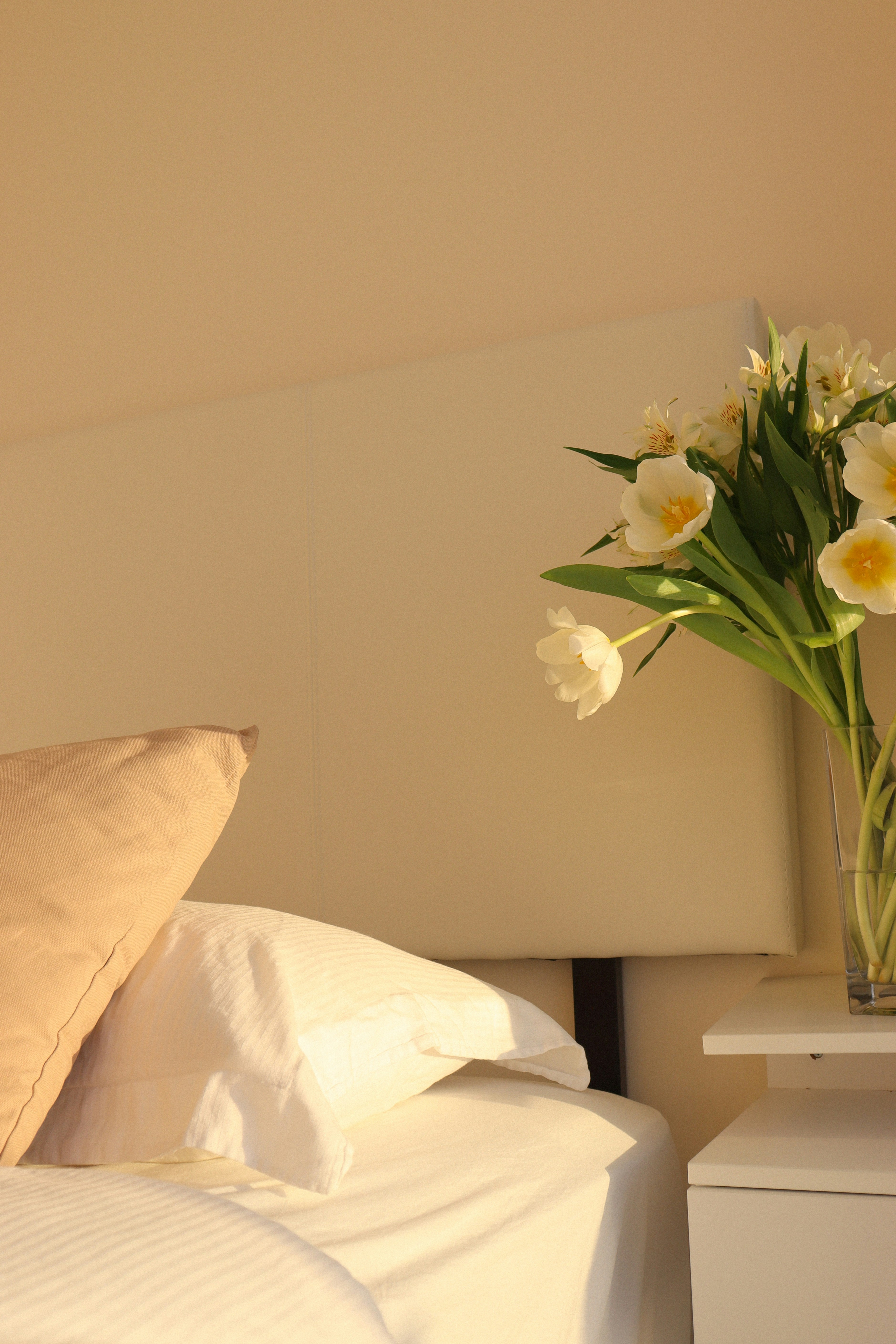 Photo by nicolearangolang