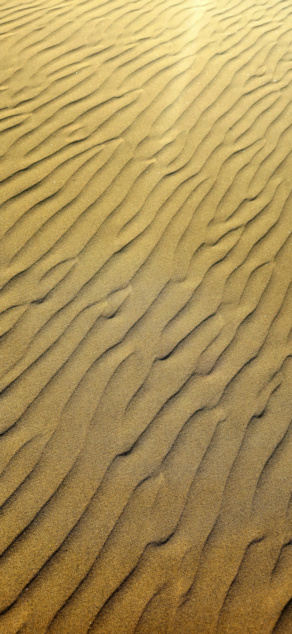 a sandy area with a small patch of grass in the middle of it