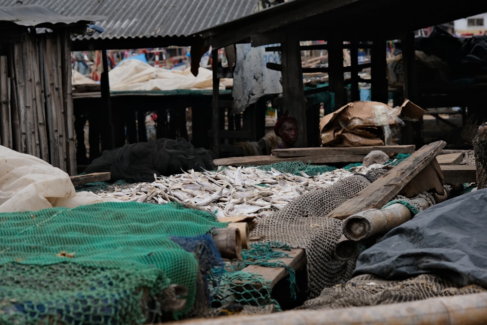 a pile of fish sitting next to a building