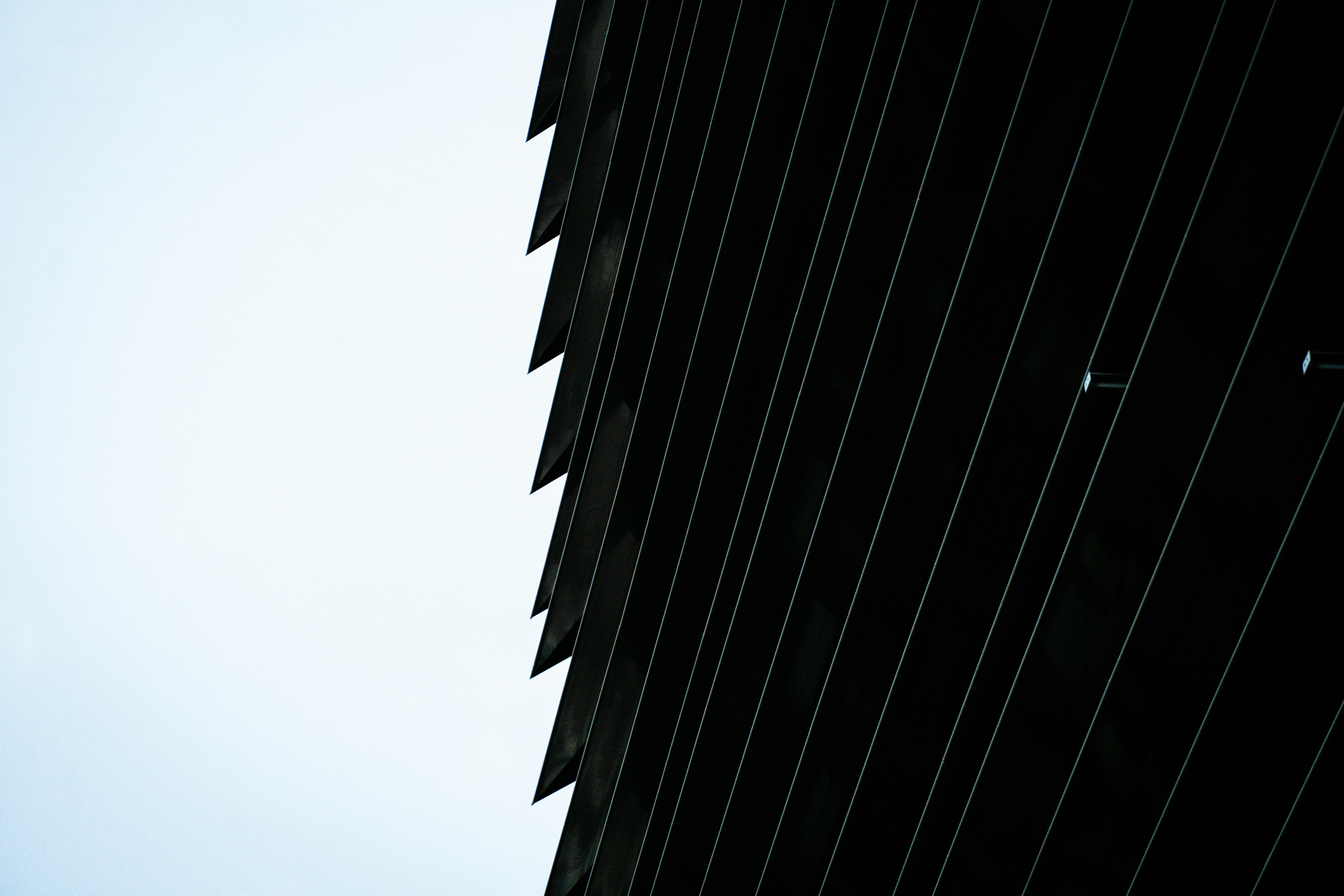 Photo by quang_quang