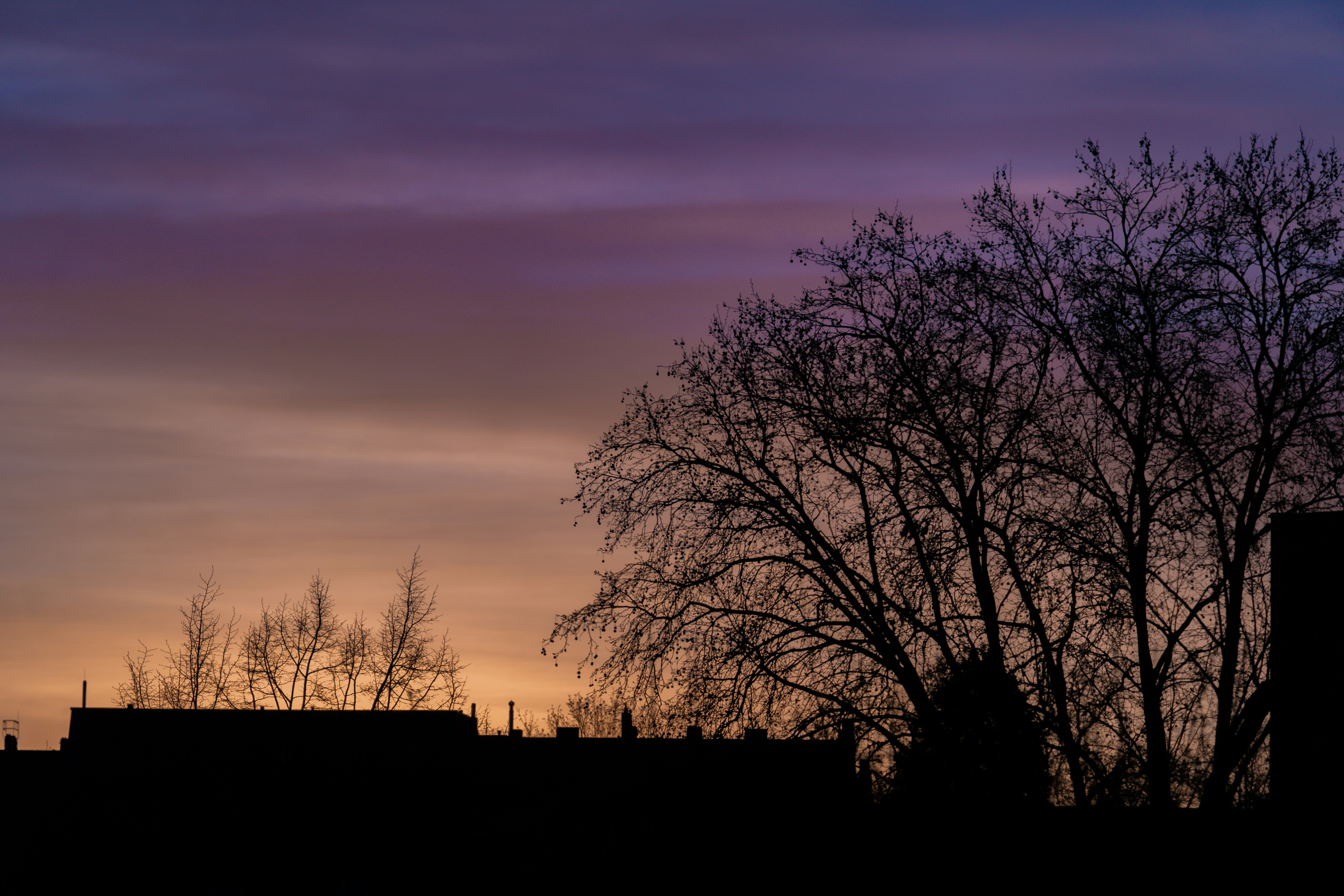 Photo by quang_quang