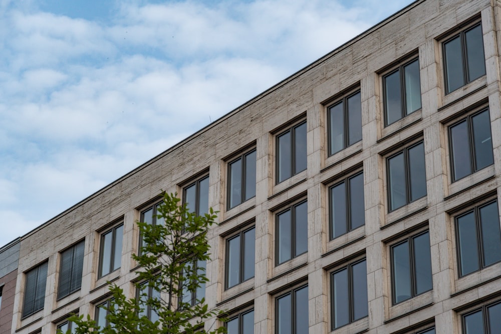 a tall building with lots of windows next to a tree