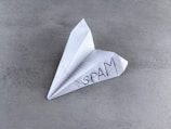 a paper airplane with the word spam written on it