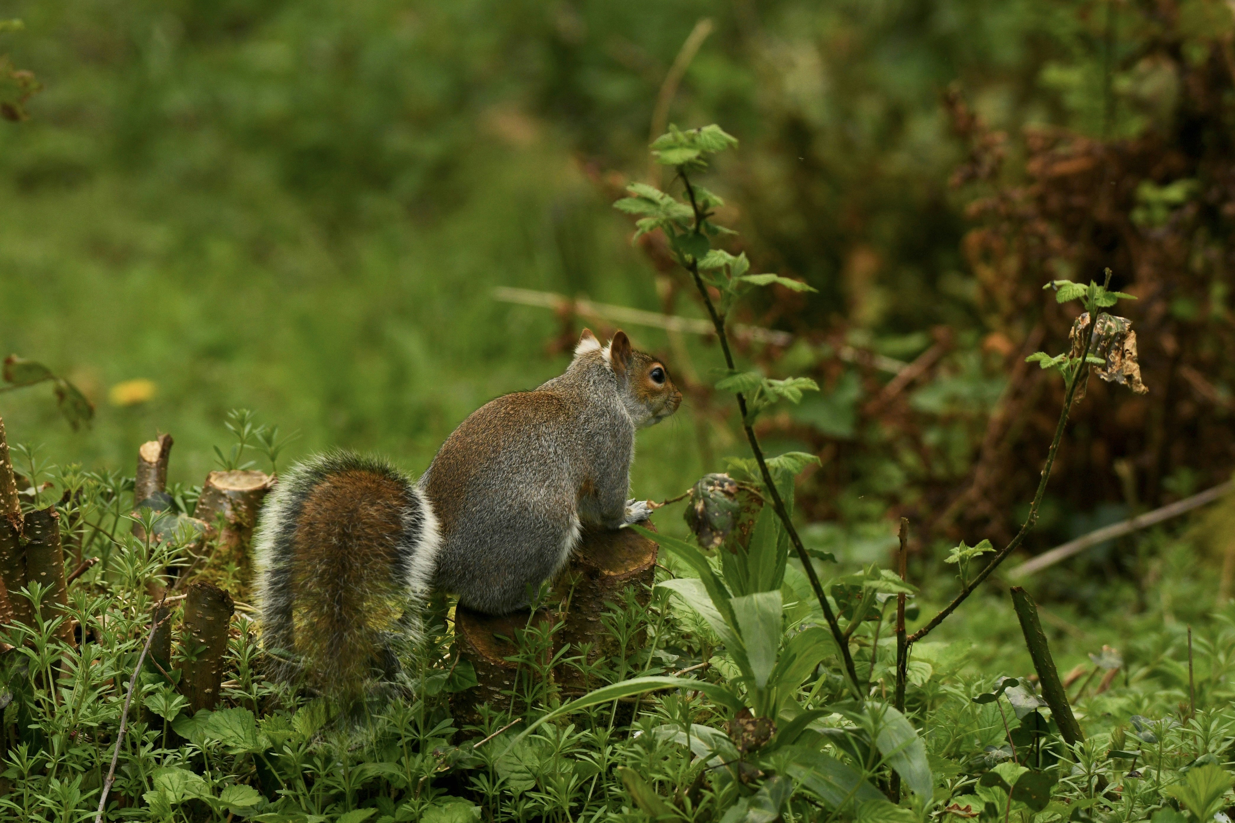 Photo by wrishi2004m