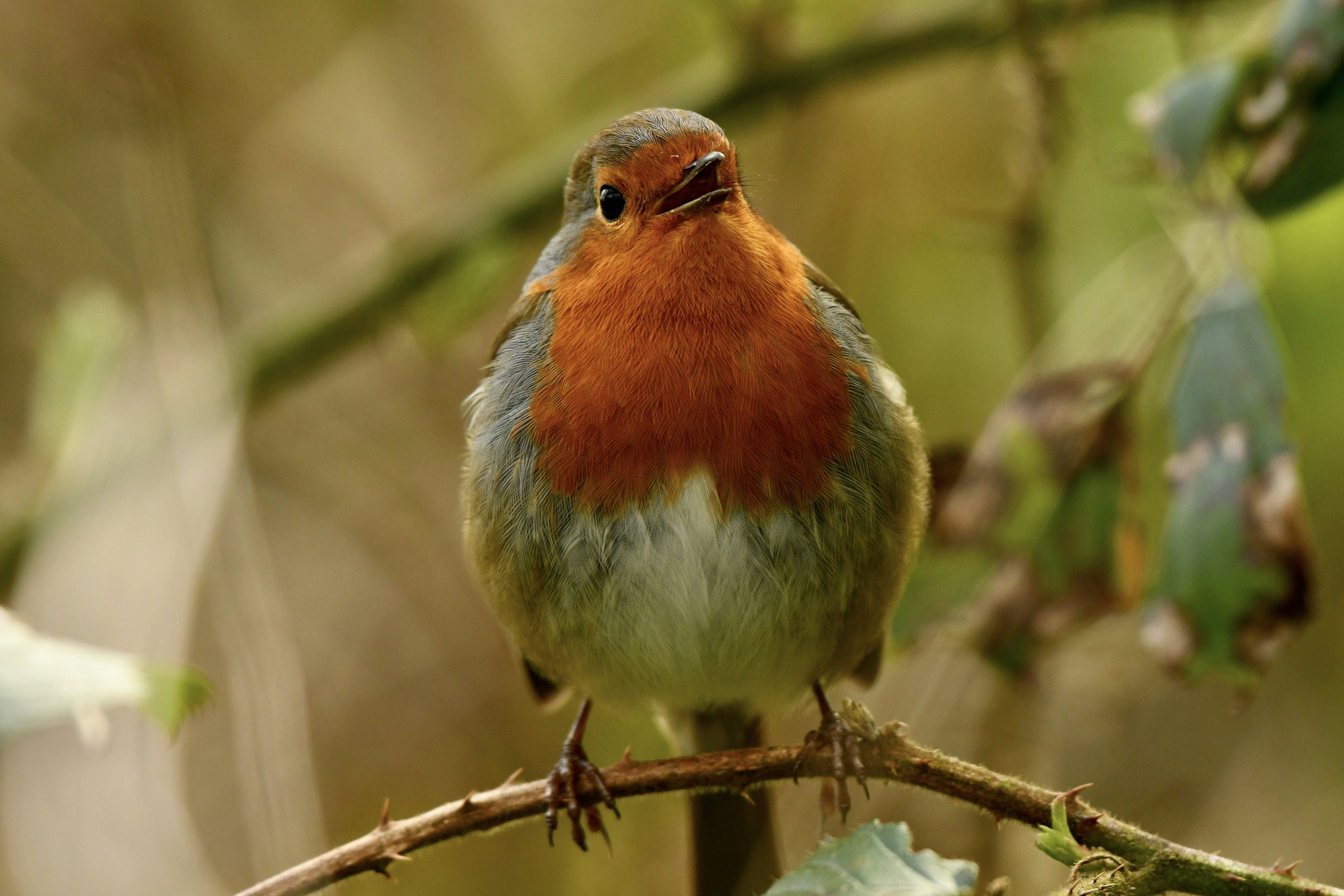 Photo by wrishi2004m