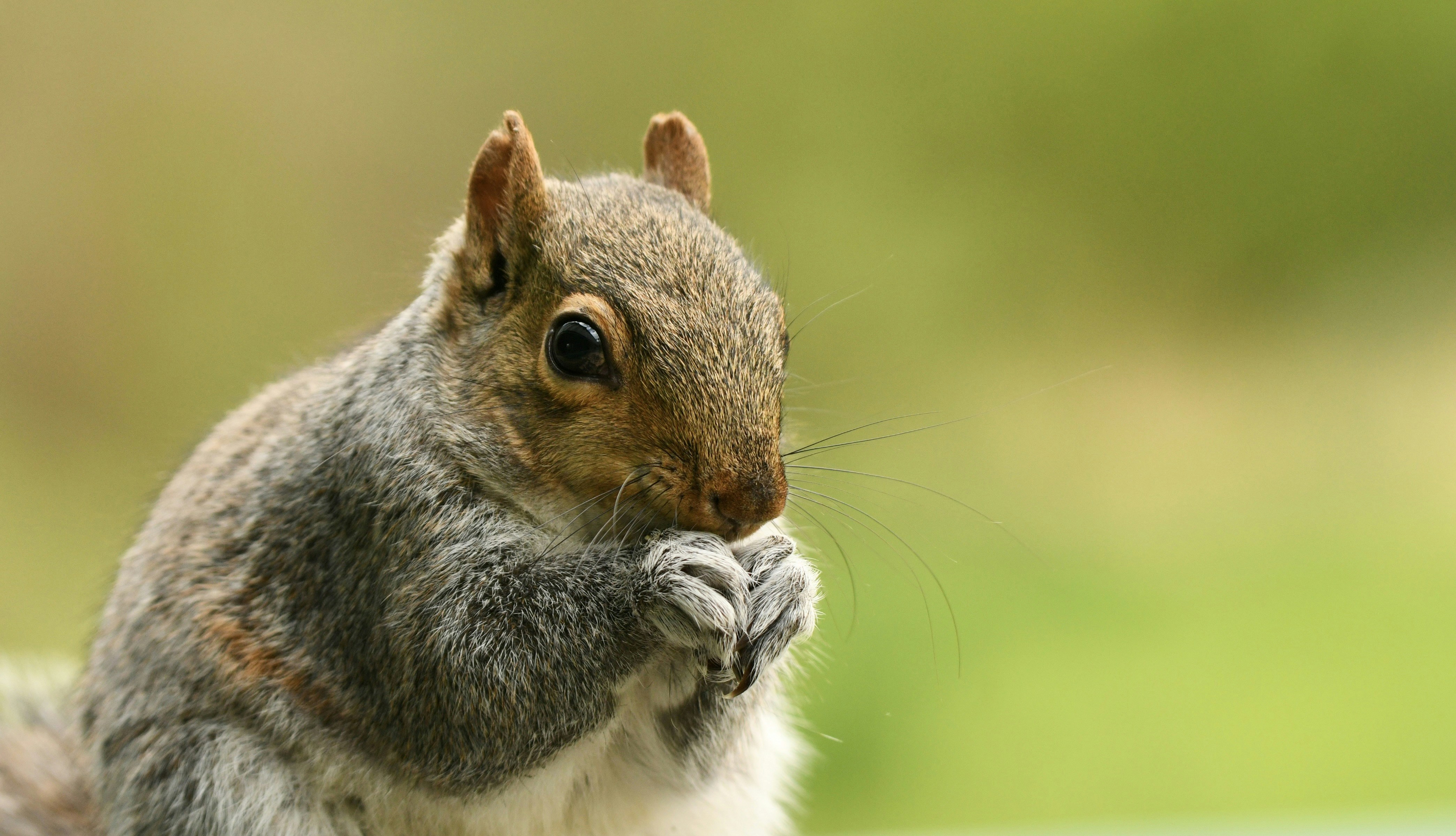 Photo by wrishi2004m