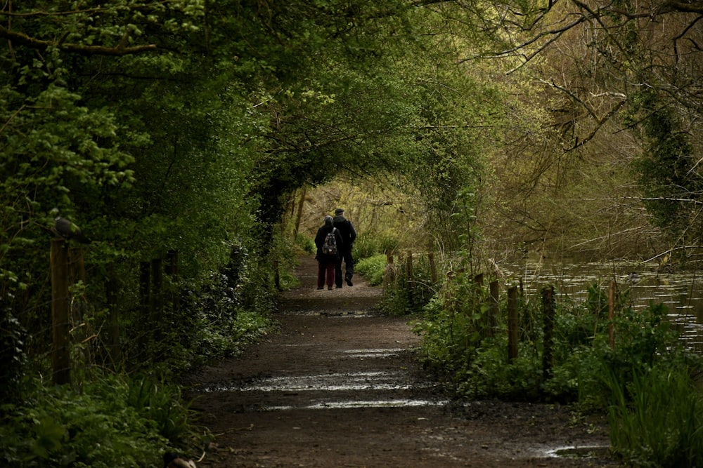 a man is walking down a path in the woods