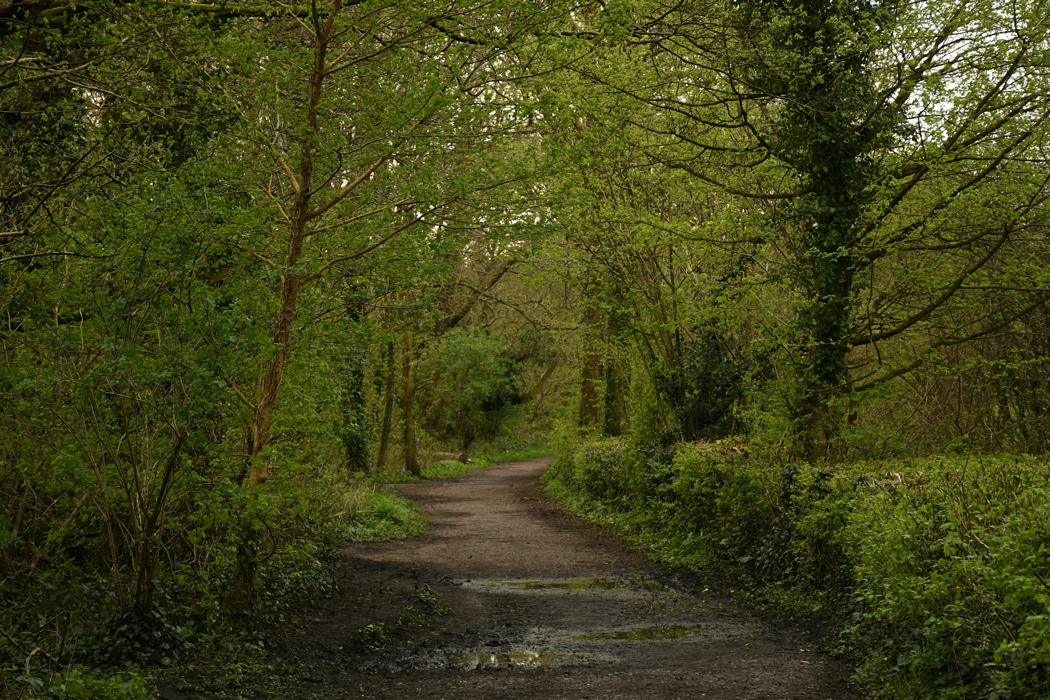 Photo by wrishi2004m