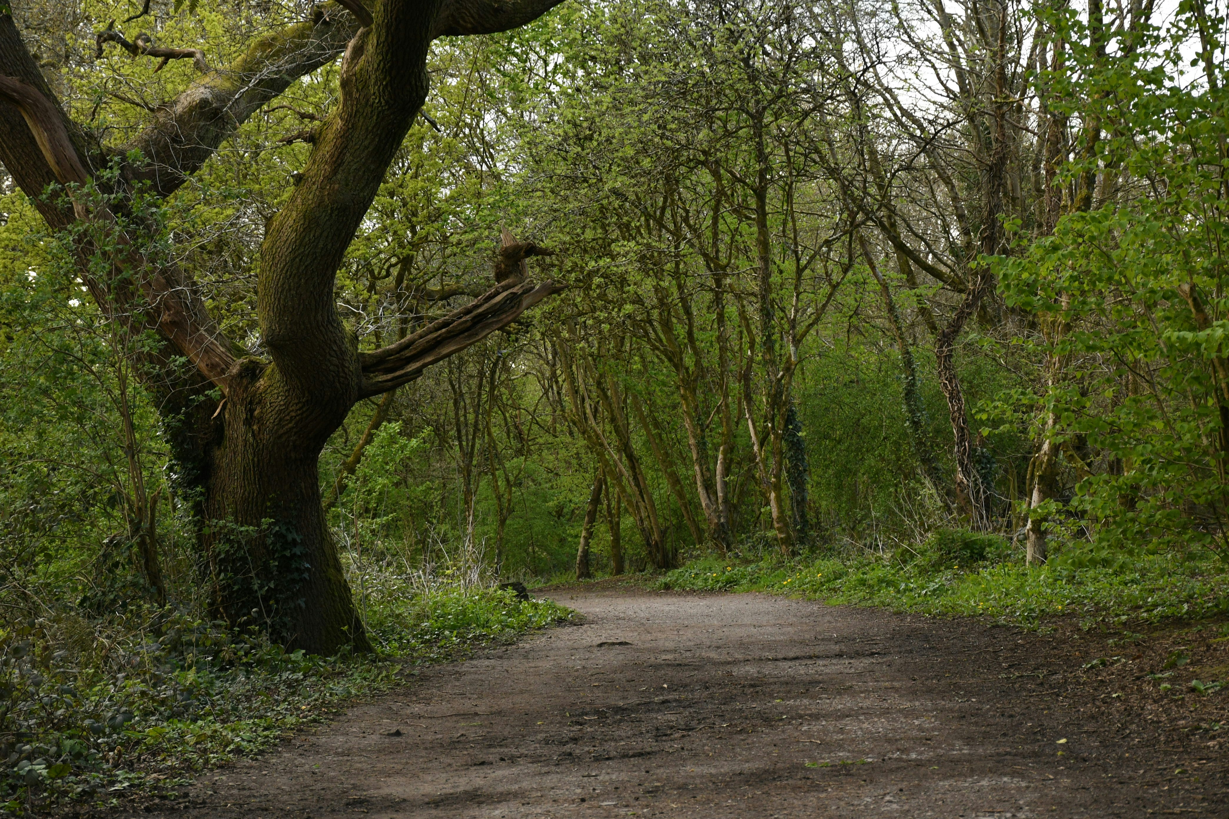 Photo by wrishi2004m