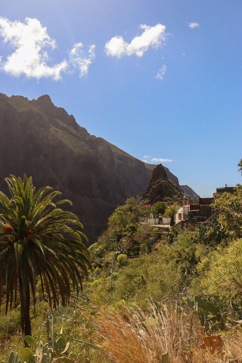 a view of a mountain with a house in the distance