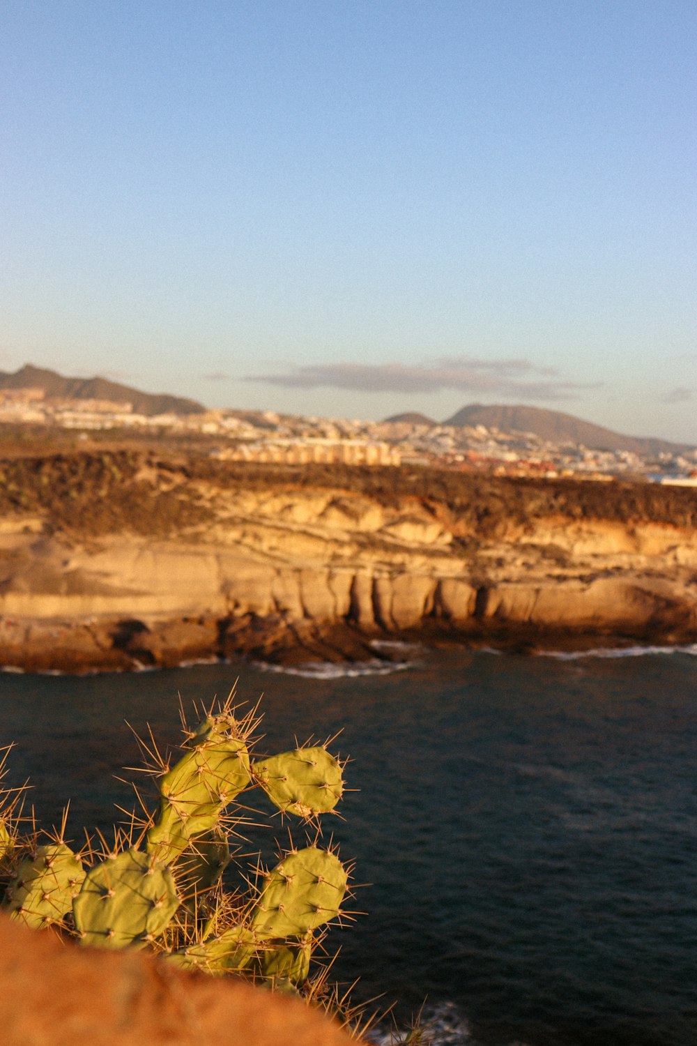 a view of a body of water with a mountain in the background