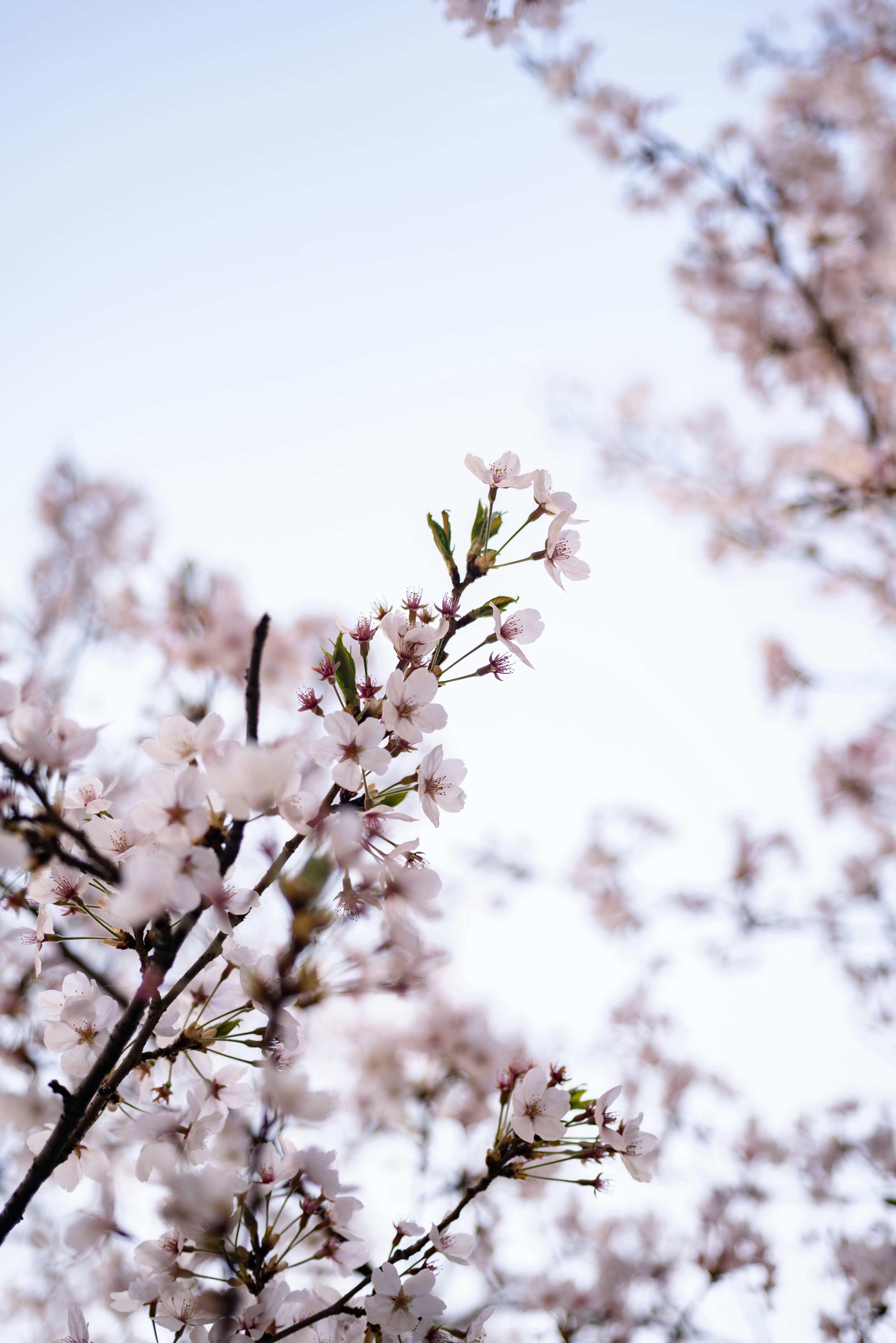 Photo by rays_pickpic