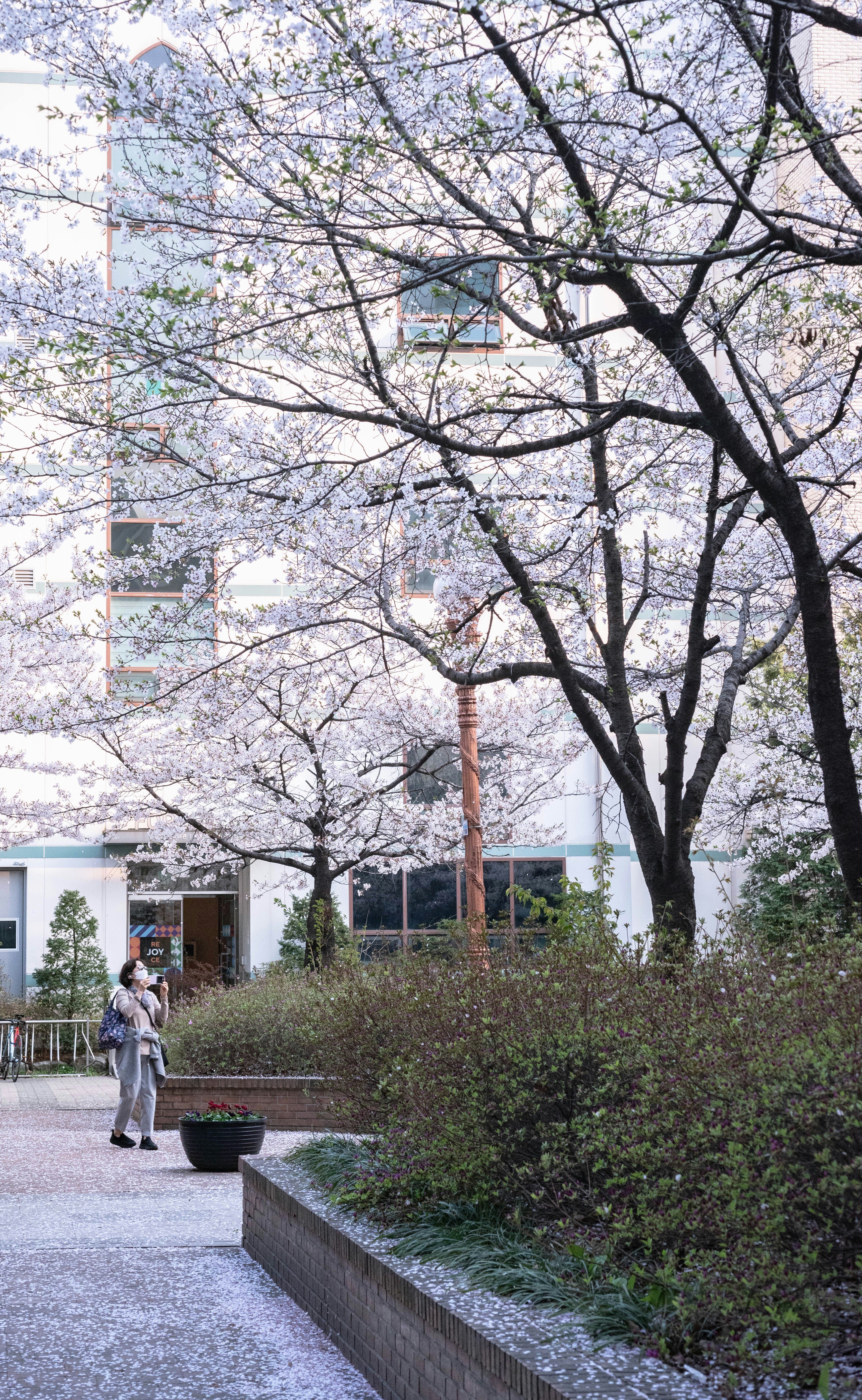 Photo by rays_pickpic