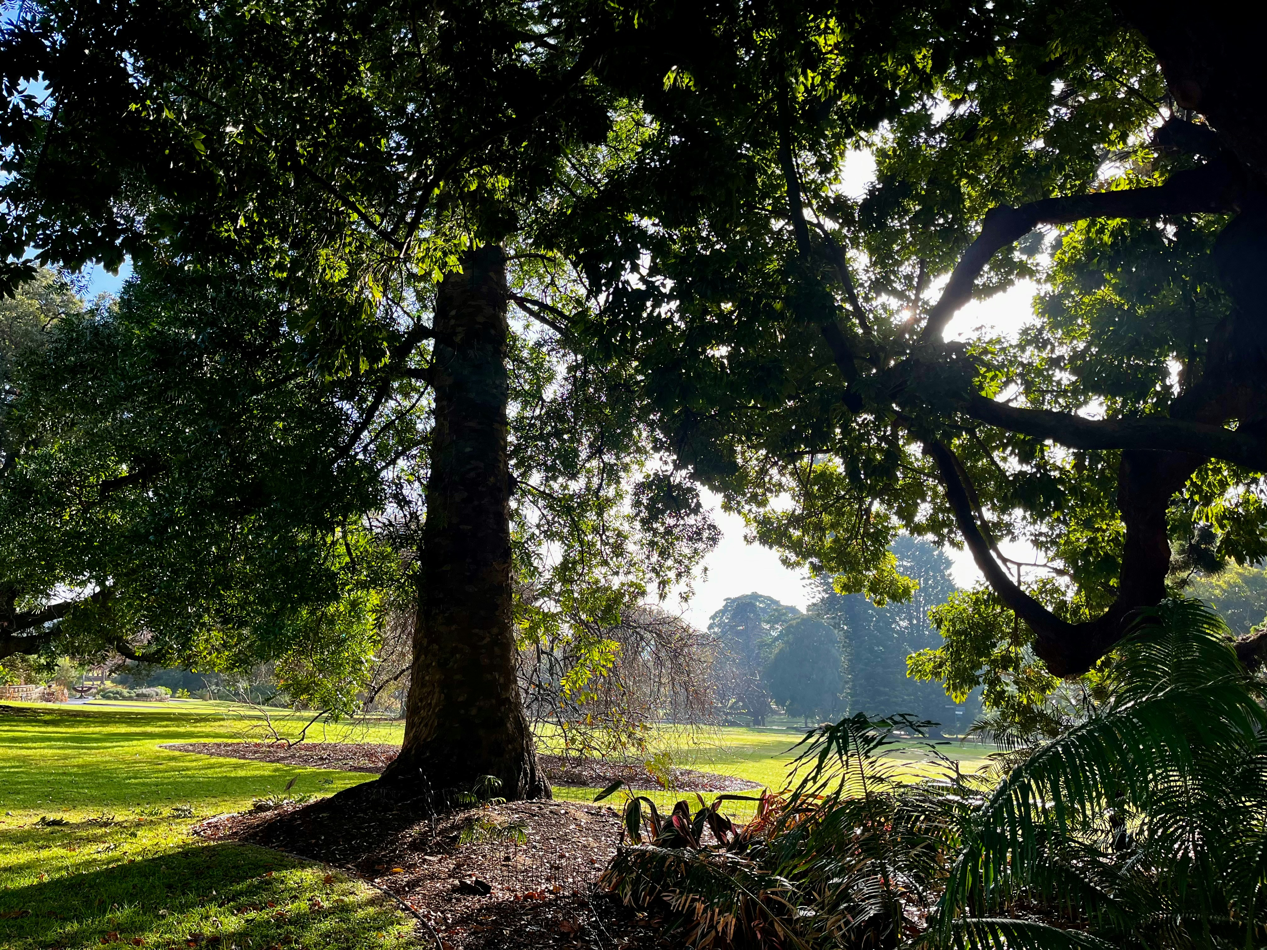 Photo by pierrehenry