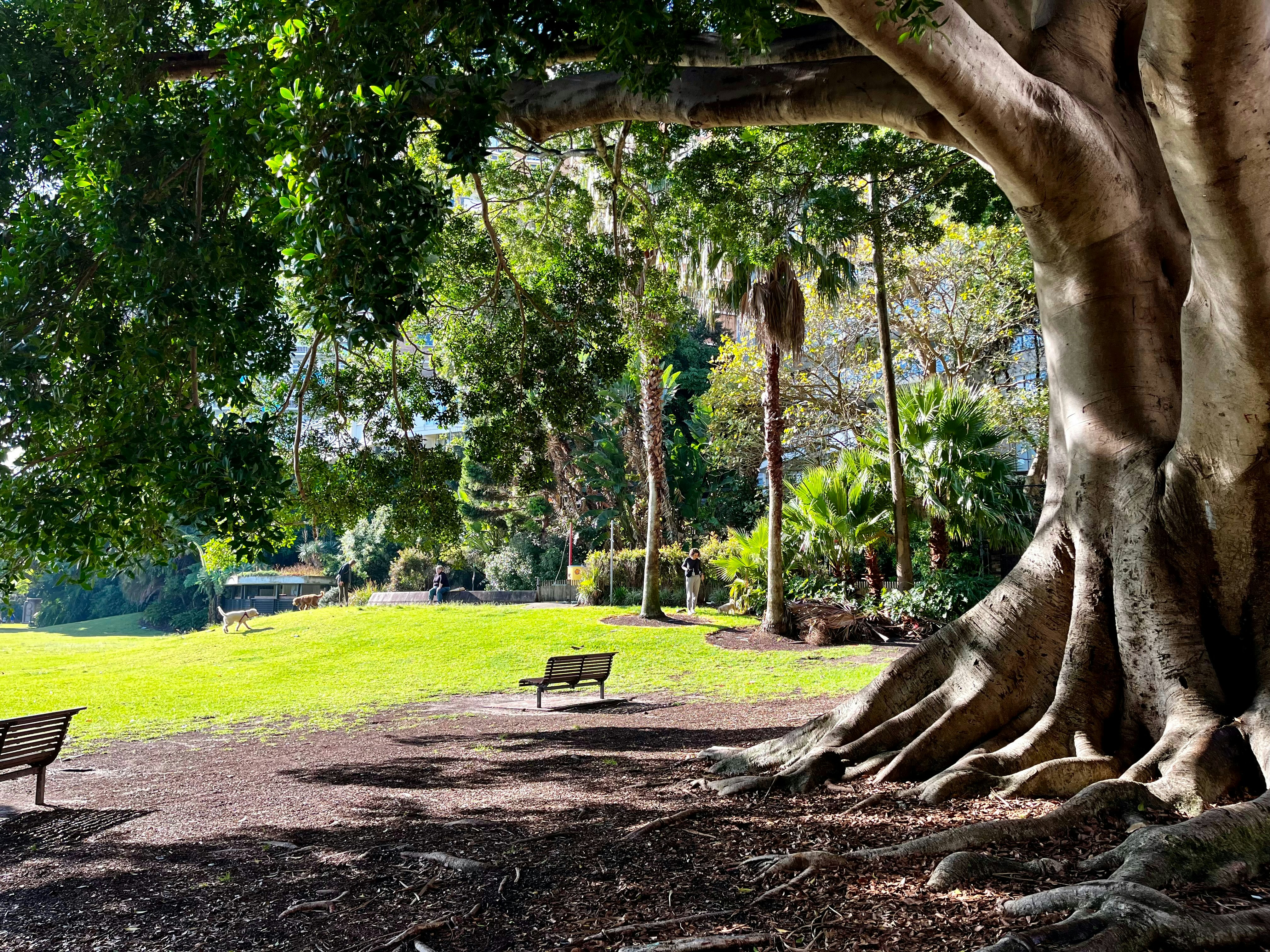 Photo by pierrehenry