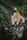 an orange and white cat sitting on top of a tree stump