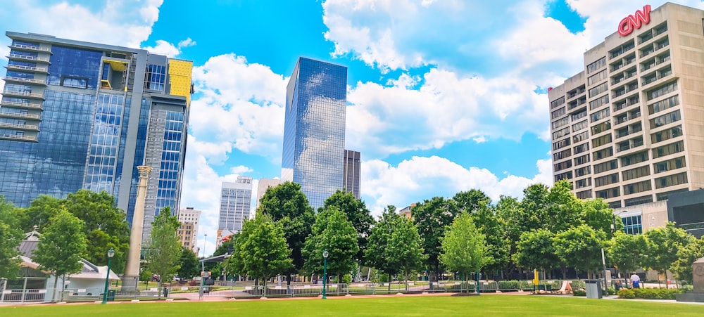 Un parque de la ciudad con edificios altos al fondo