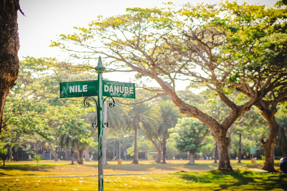 a street sign on a pole in a park