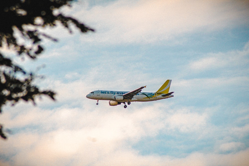 a plane flying in the sky with a tree in the foreground