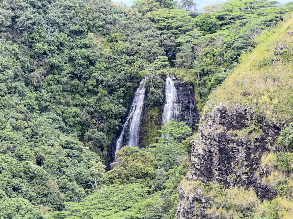 a waterfall in the middle of a lush green forest