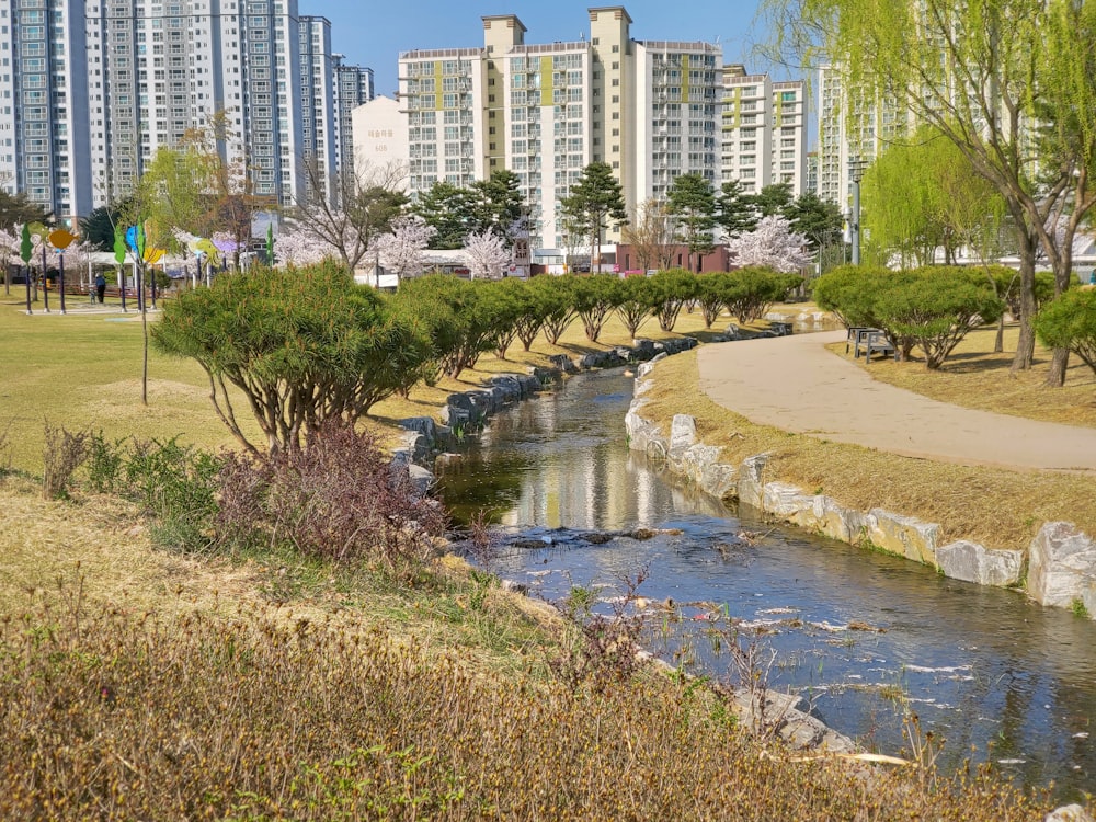 a river running through a park next to tall buildings