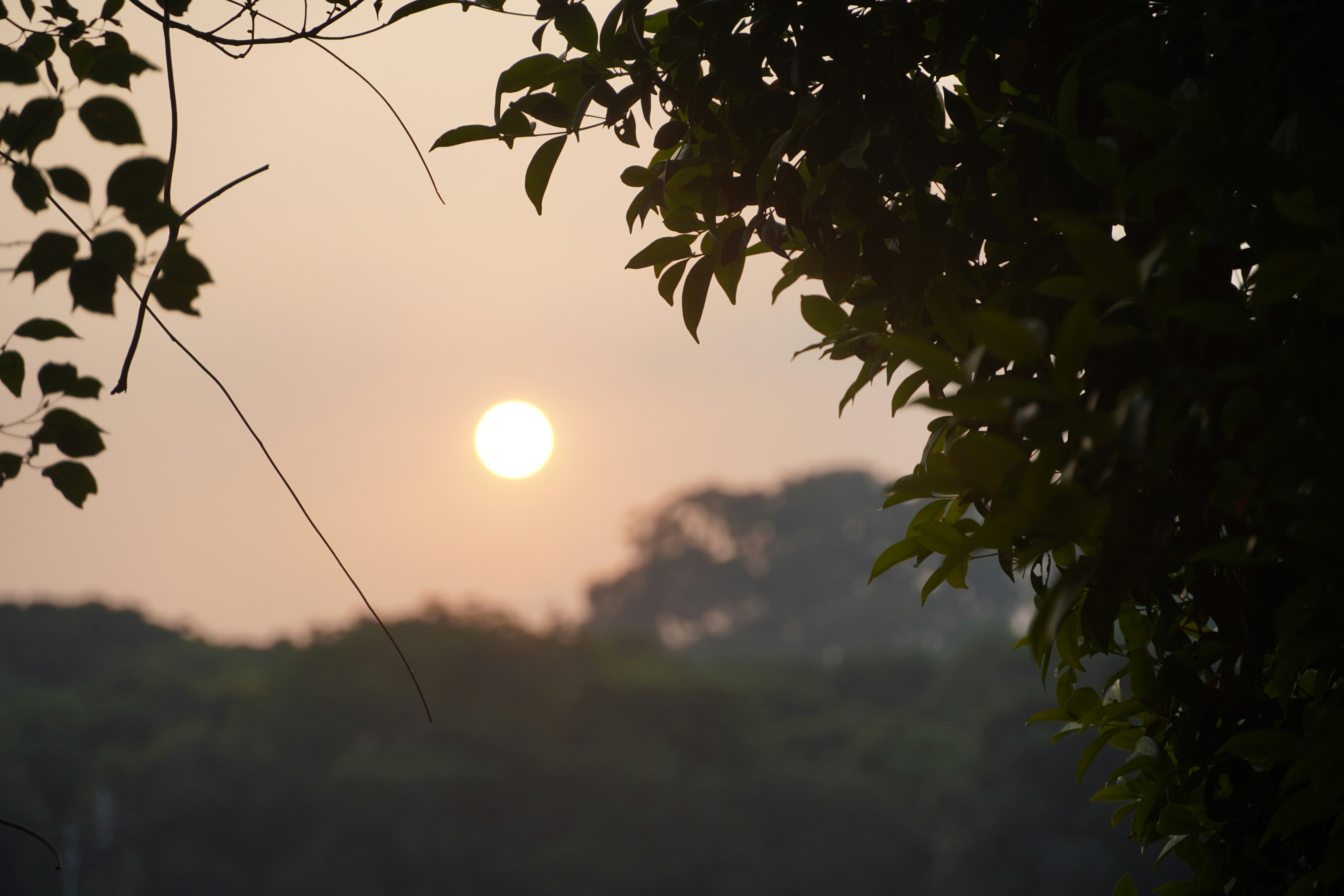 Photo by baozihhhhhh