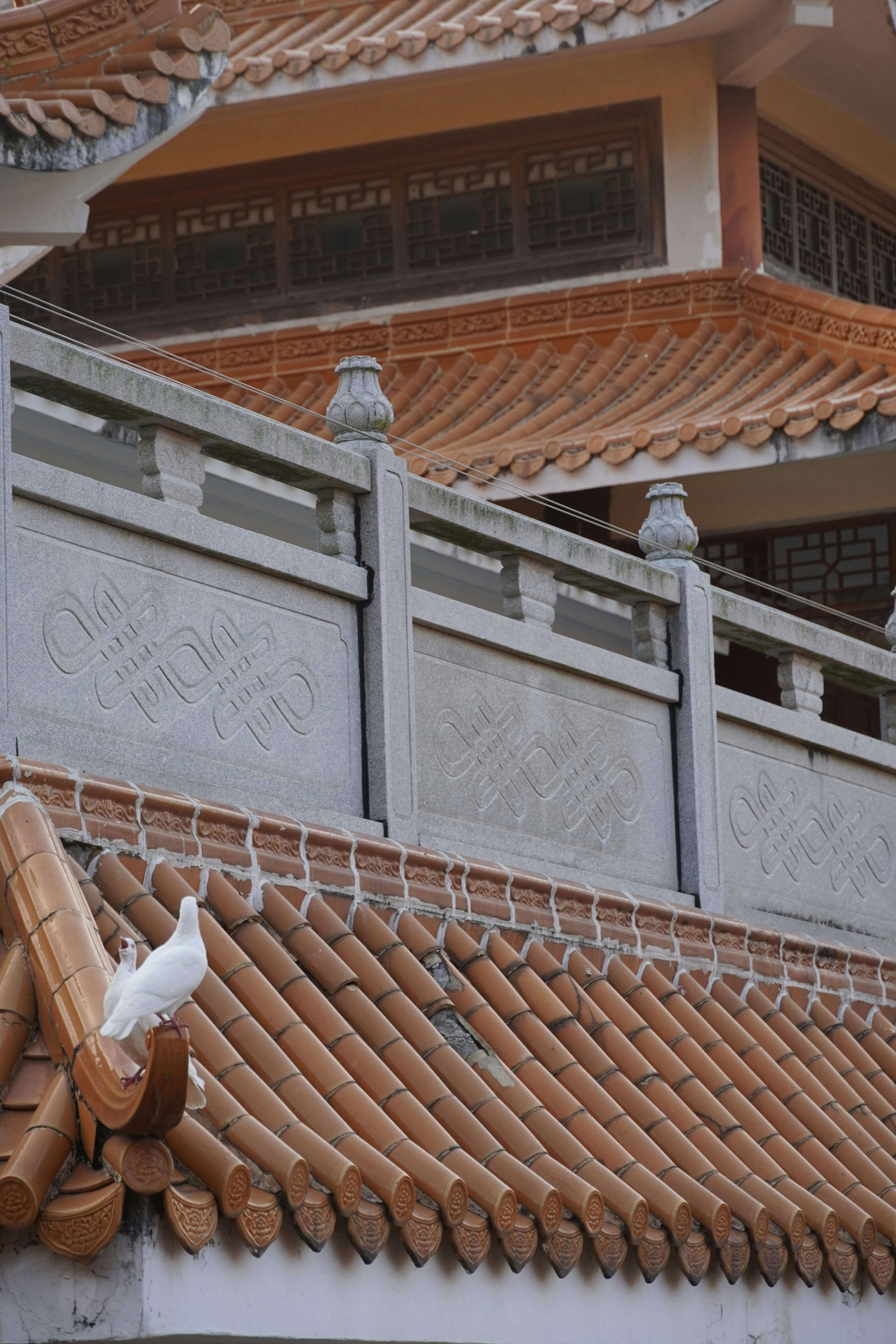 Photo by baozihhhhhh