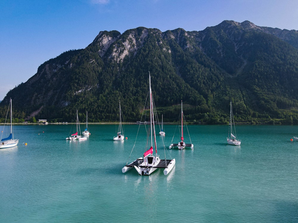 a group of boats floating on top of a body of water