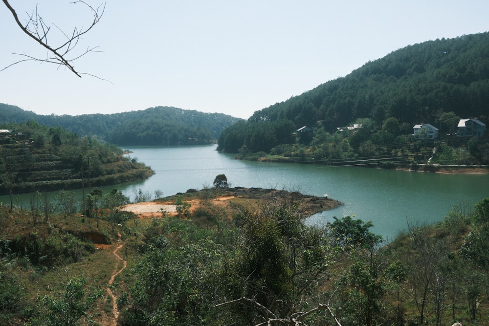 a body of water surrounded by a forest