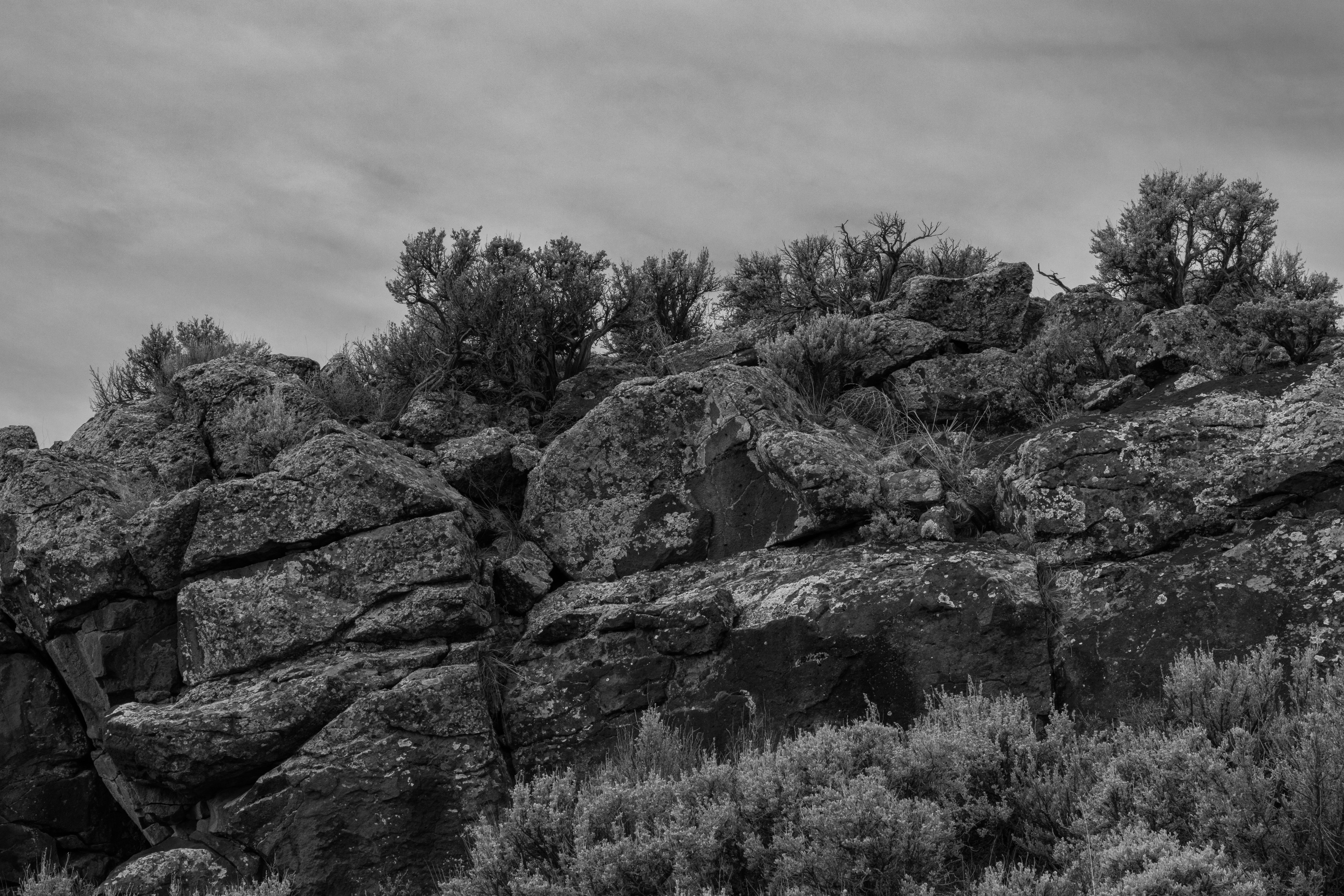 Photo by brandonstoll