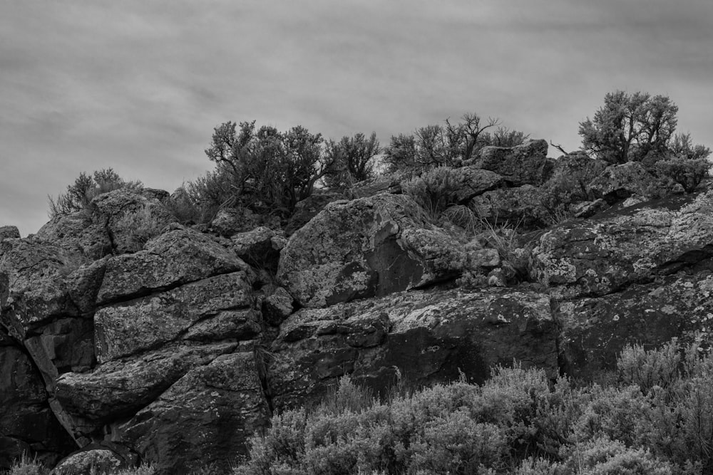 a black and white photo of some rocks and trees