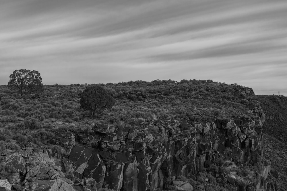 a black and white photo of a rocky cliff