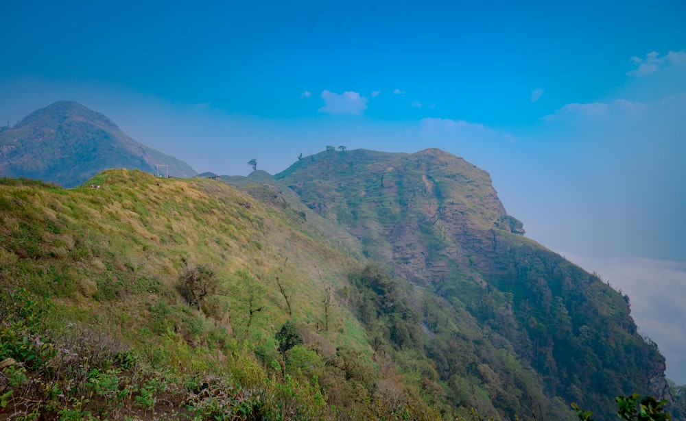 a view of a mountain with a few trees on top of it