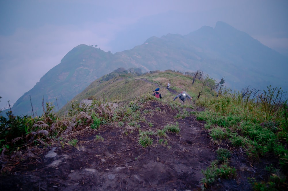 a couple of people walking up a hill