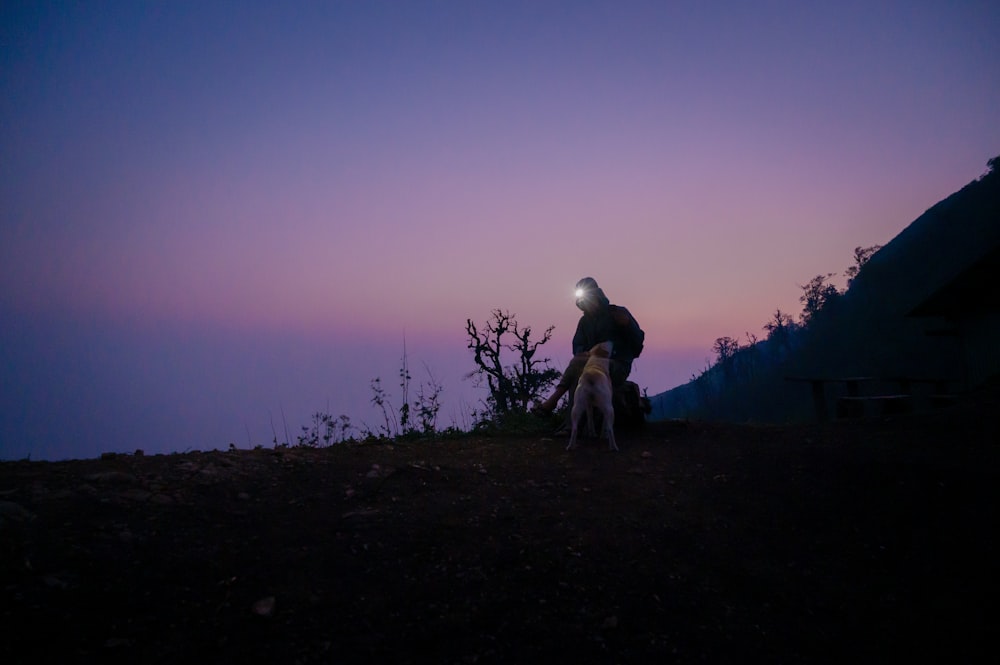 a person and a dog on a hill at dusk