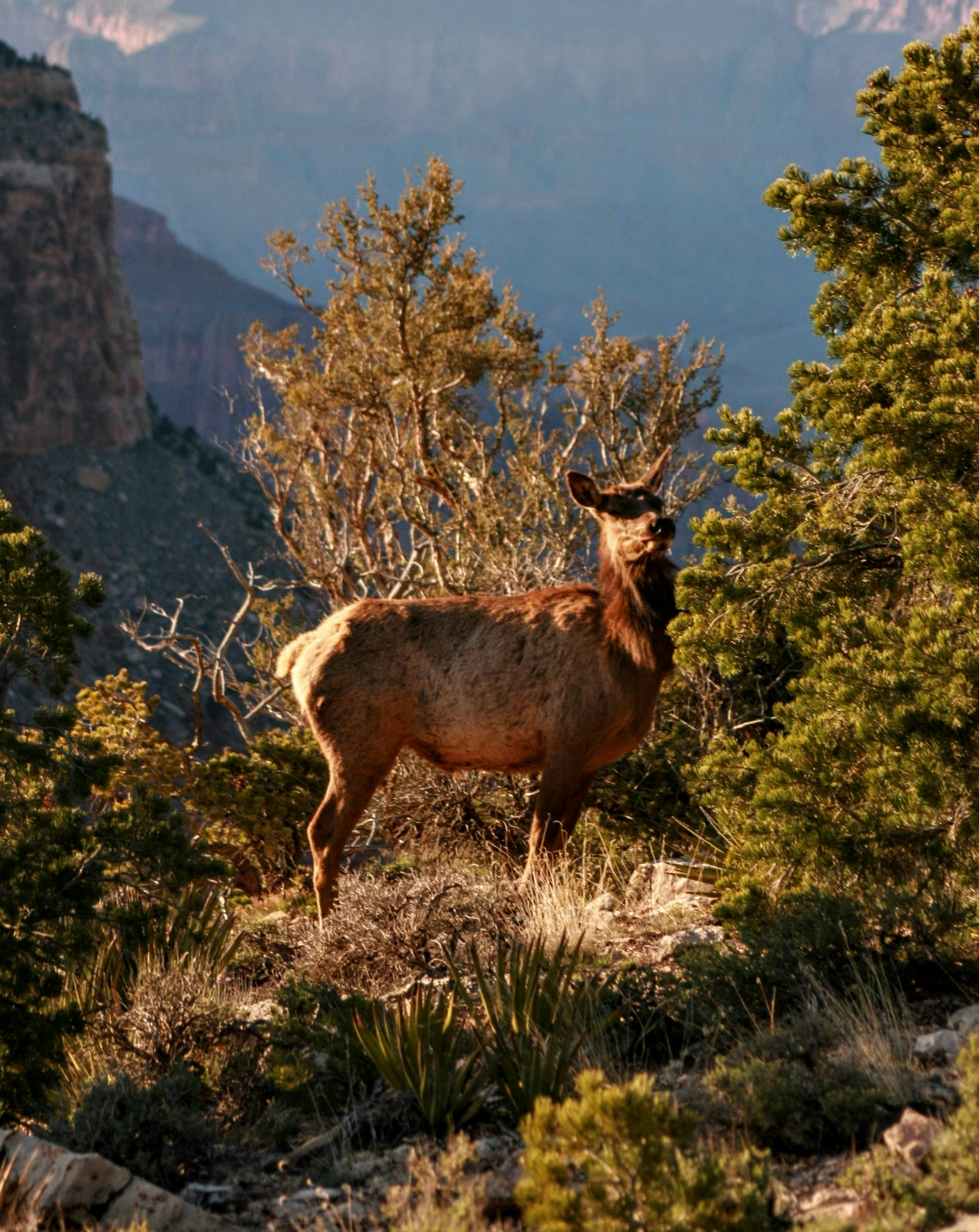 Photo by urbansurfer