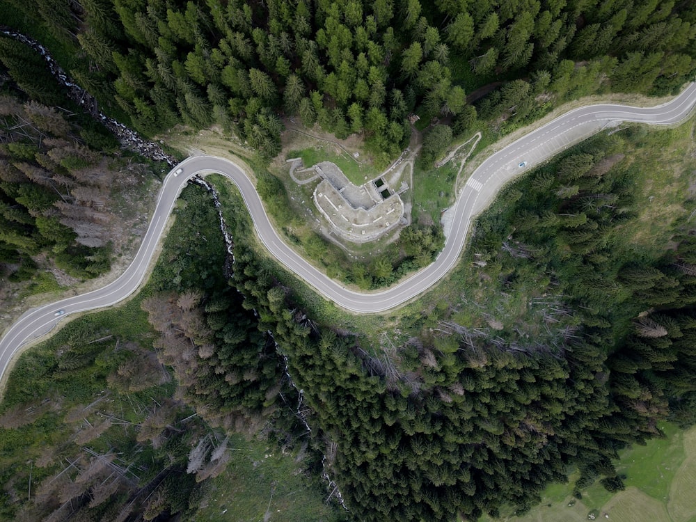 a winding road in the middle of a forest