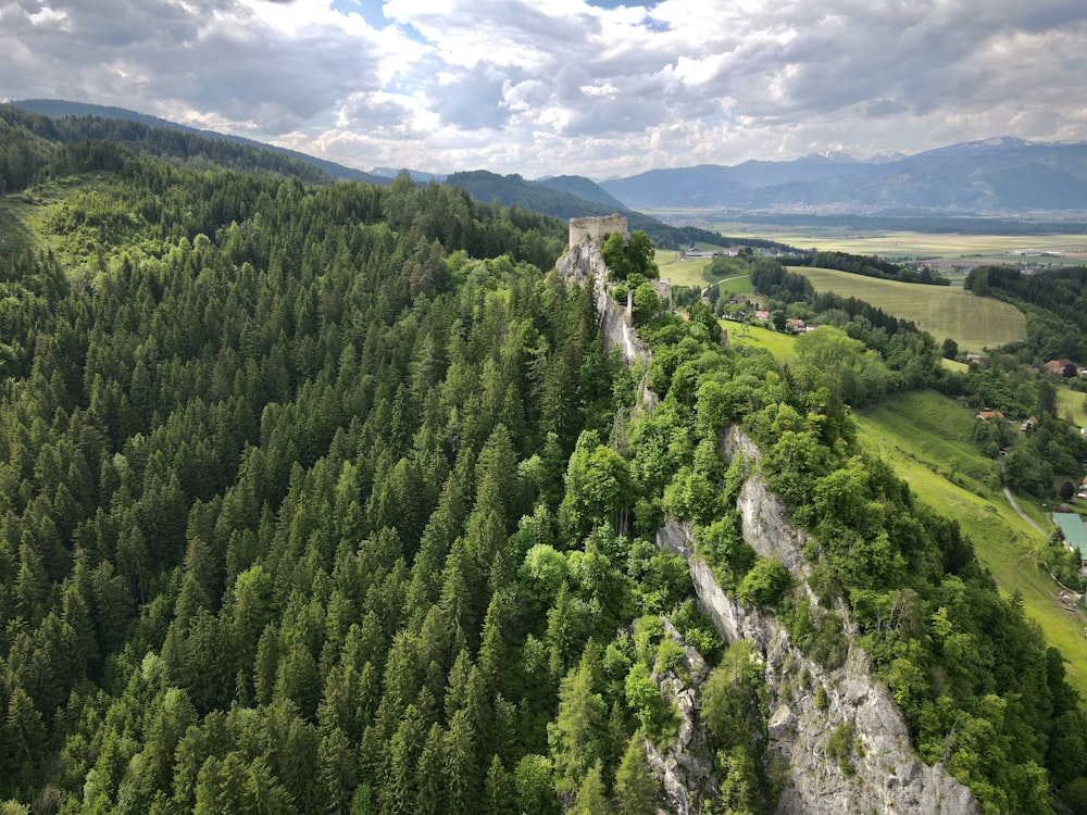 an aerial view of a forest and a mountain