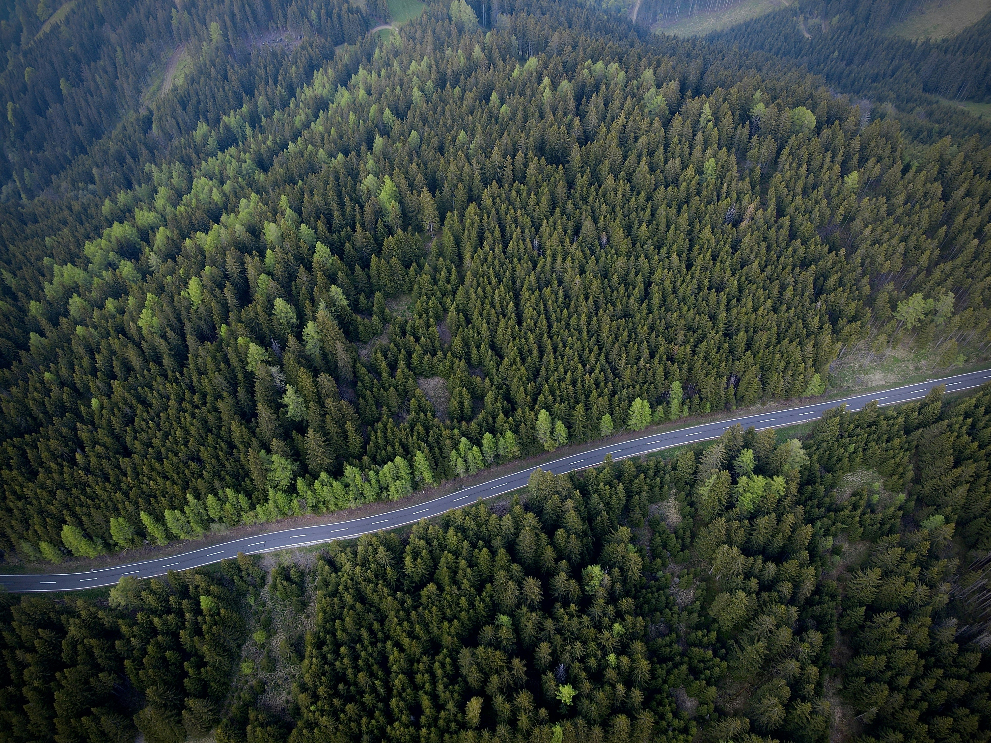 Photo by michaelarimakova