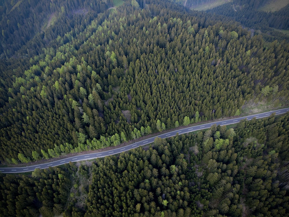 an aerial view of a road in the middle of a forest