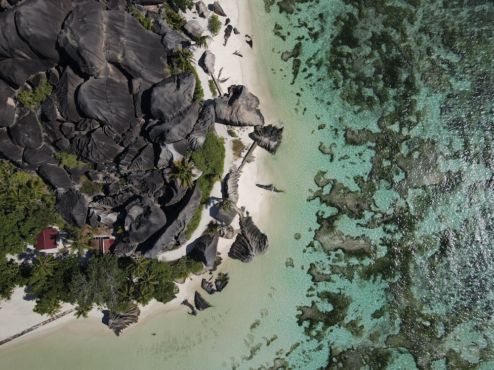 uma vista aérea de uma praia com uma cabana sobre ela