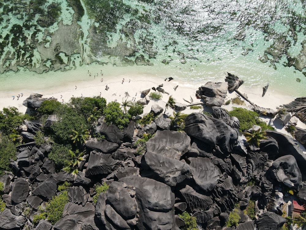 a bird's eye view of a sandy beach and ocean