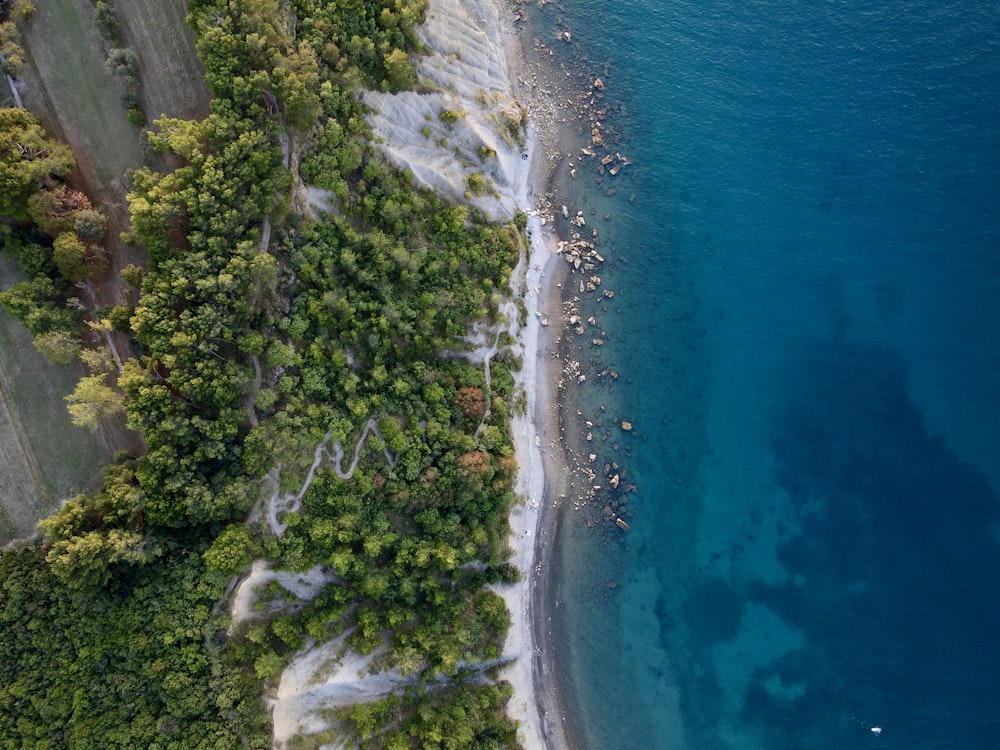 a bird's eye view of a beach and a body of water