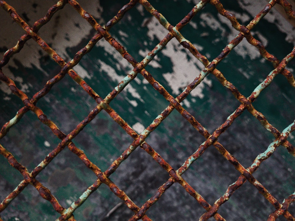 a close up of a rusted metal fence