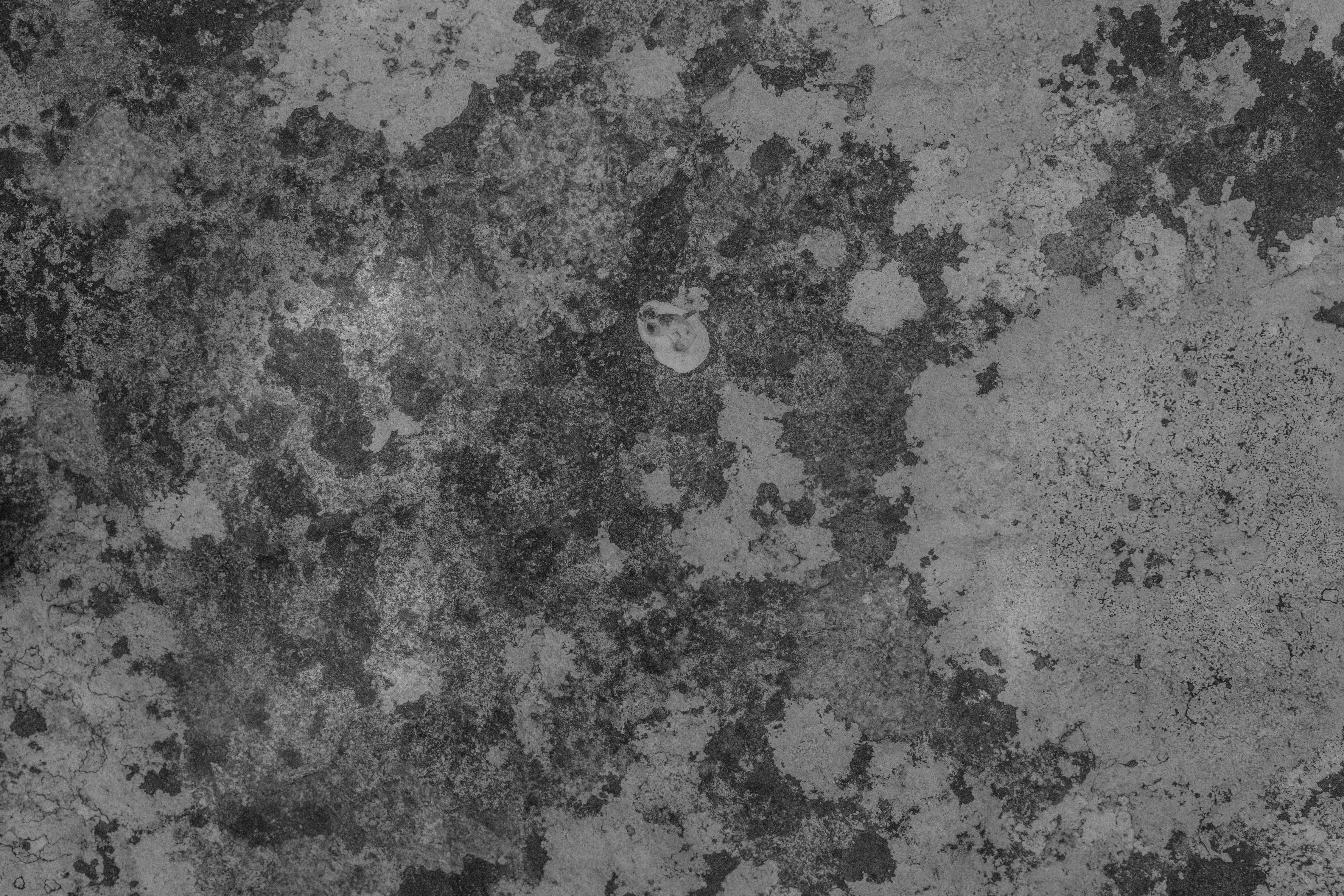 Photo by anniespratt